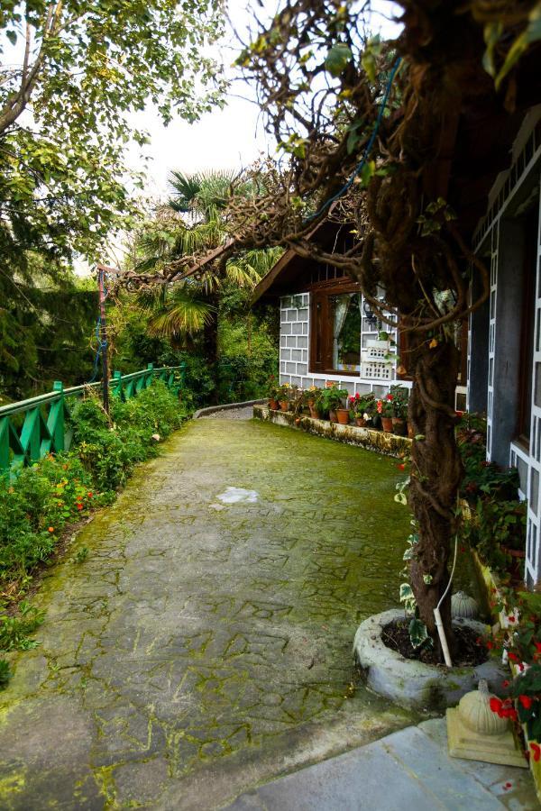 The Hive Cottage Nainital Eksteriør billede